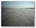 dsck0016.jpg