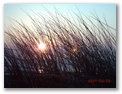 dsck0033.jpg