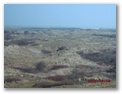 dsck0041.jpg