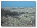 dsck0043.jpg