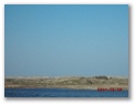 dsck0045.jpg