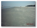 dsck0053.jpg