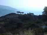 Bucht