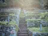 Bucht