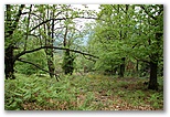 dsc_2667.jpg