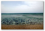 dsc_2730.jpg