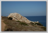 dsc_3017.jpg