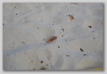 dsc_3049.jpg