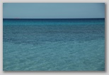 dsc_3052.jpg