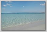 dsc_3071.jpg
