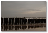 dsc_3553.jpg